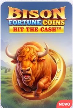 Bison Fortune Coins