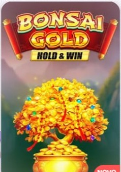 Bonsai Gold Hold and Win
